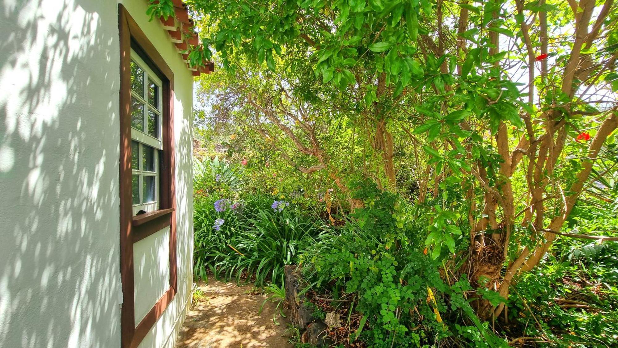 El Jocamo Villa Puntagorda Exterior foto